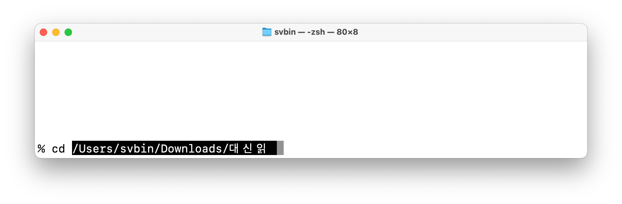 cd 뒤에 폴더를 드래그해 경로가 자동 입력된 터미널 화면